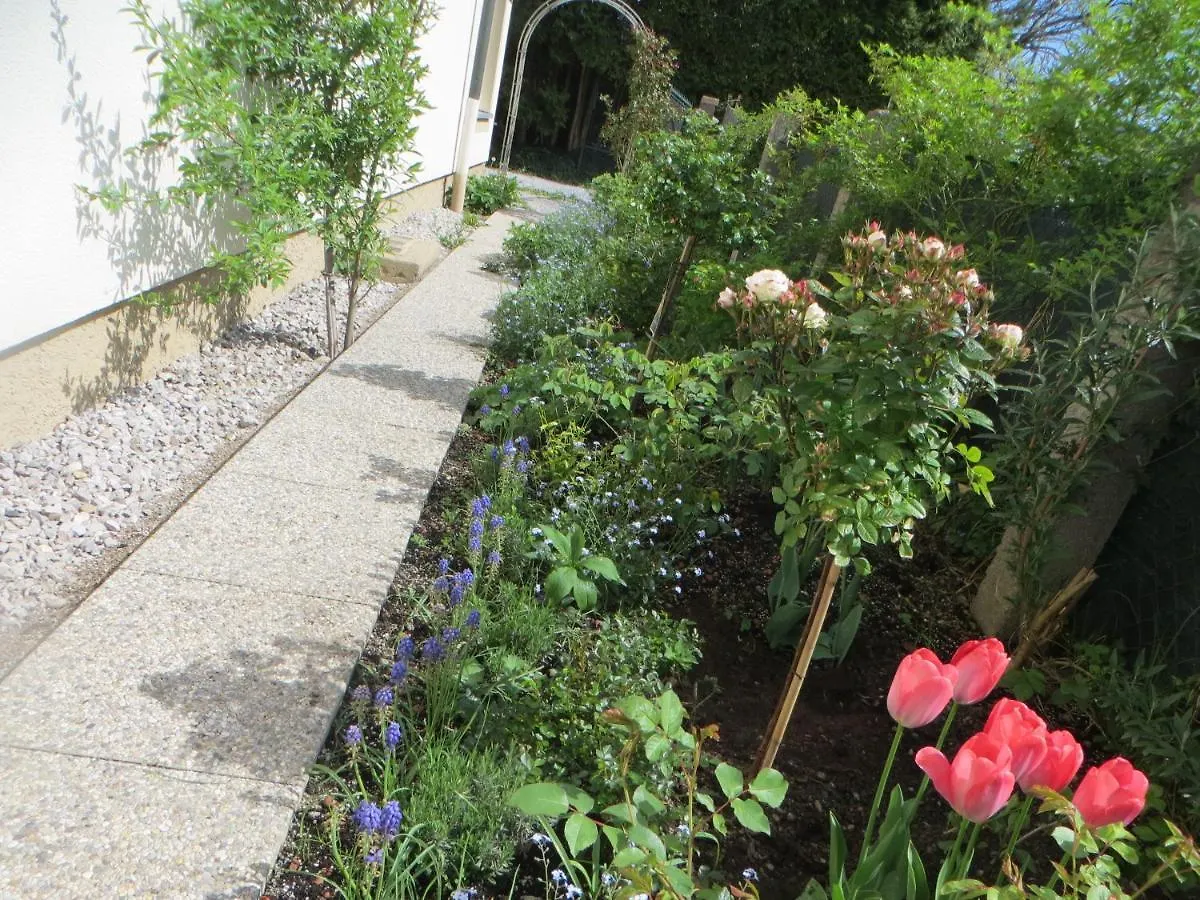 Premium City Apartment Amadeus Salzburgo
